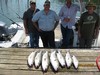 (08/16/2018) - Nice Striped Bass
